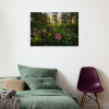 Charming Woods - View 1