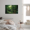 Jungleflair - View 1