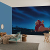 Disney The Lion King Stargazing - View 1