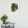 Palmtree Leaves