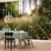 Summer Glade - View 1
