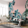 Monstera Rosé - View 1