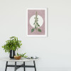 Menthe en Croissance - View 1