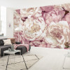 Peonies - View 1