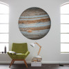 Jupiter - View 1