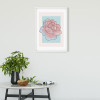 Cinderella Rose - View 1
