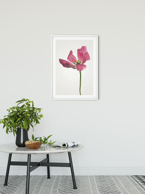 Tulip - Slider Item - View 1