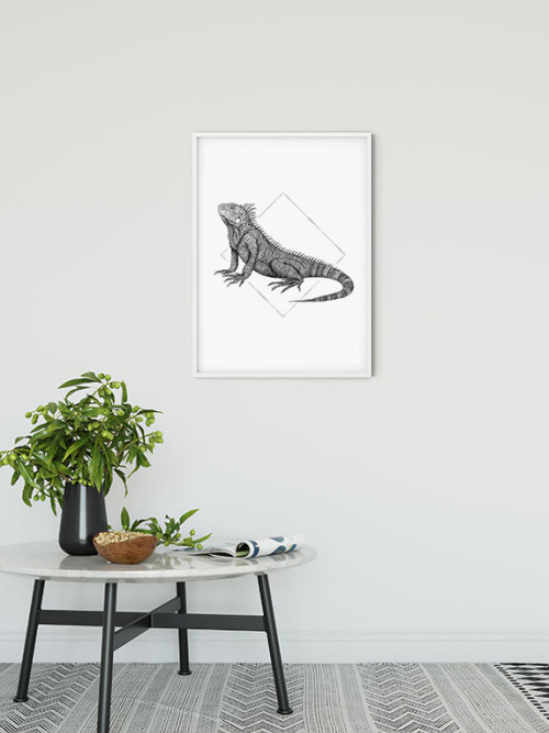 Iguana White - Slider Item - View 1