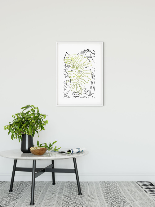 Monstera Borsigiana - Slider Item - View 1