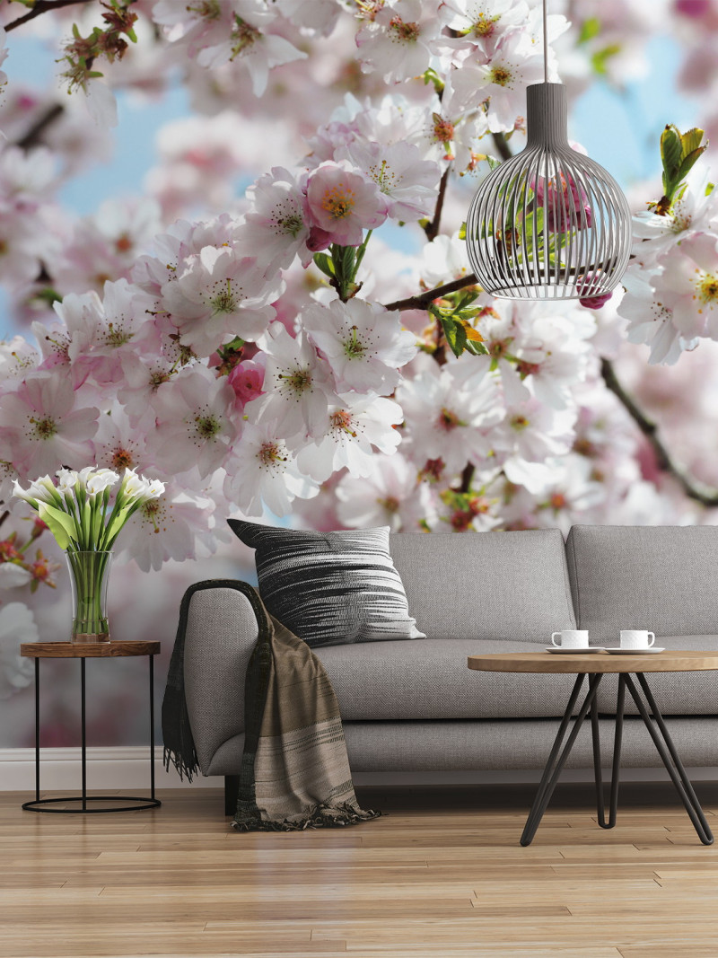 Spring - View 1