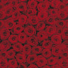 Roses - Thumbnail View 1