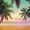 Miami - Thumbnail View 1