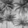 Coco de Paradis - Thumbnail View 1