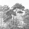 Voyageur - Thumbnail View 1