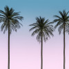 Skyhigh - Thumbnail View 1