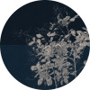 Branch - Thumbnail View 1