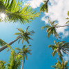 Dreambay - Slider Item - View 1