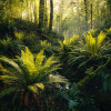 Fjordland Woods  - Thumbnail View 1