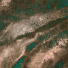 Flower Fossil - Slider Item - View 1