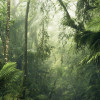 Vert Intense - Thumbnail View 1