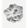 Succulent Single - Slider Item - View 1
