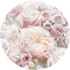 Daphne - Slider Item - View 1