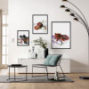 Fruits d'automne - Slider Item - View 1