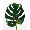 Green Structure - Slider Item - View 1