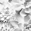 Shades Black and White - Slider Item - View 1