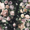 Botanica - Slider Item - View 1