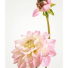 Soave - Slider Item - View 1