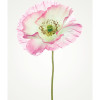 Soave - Slider Item - View 1