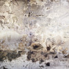Urban Art II - Slider Item - View 1