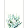 Aloe Watercolor - Thumbnail View 1