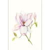 Dahlia - Slider Item - View 1