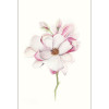 Tulip - Slider Item - View 1