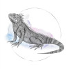 Sea Horse Watercolor - Slider Item - View 1