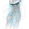 Jellyfish Watercolor - Thumbnail View 1