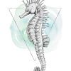 Sea Horse Watercolor - Thumbnail View 1