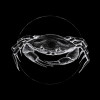 Jellyfish Watercolor - Slider Item - View 1