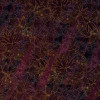 Lotus - Thumbnail View 1