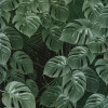 Monstera Rosé - Slider Item - View 1