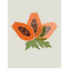 Fruit du Paradis - Slider Item - View 1