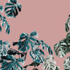Monstera Rosé - Thumbnail View 1
