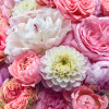 Vibrant Spring - Thumbnail View 1