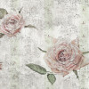Tantinet - Thumbnail View 1