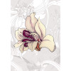 Amora - Slider Item - View 1