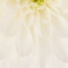 Wish - Slider Item - View 1