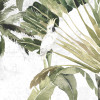 Forêt de Palmiers - Slider Item - View 1