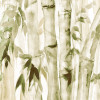 Wild Bamboo - Thumbnail View 1